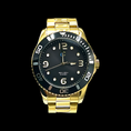 Load image into Gallery viewer, ICC DIVE WATCH [Gold]
